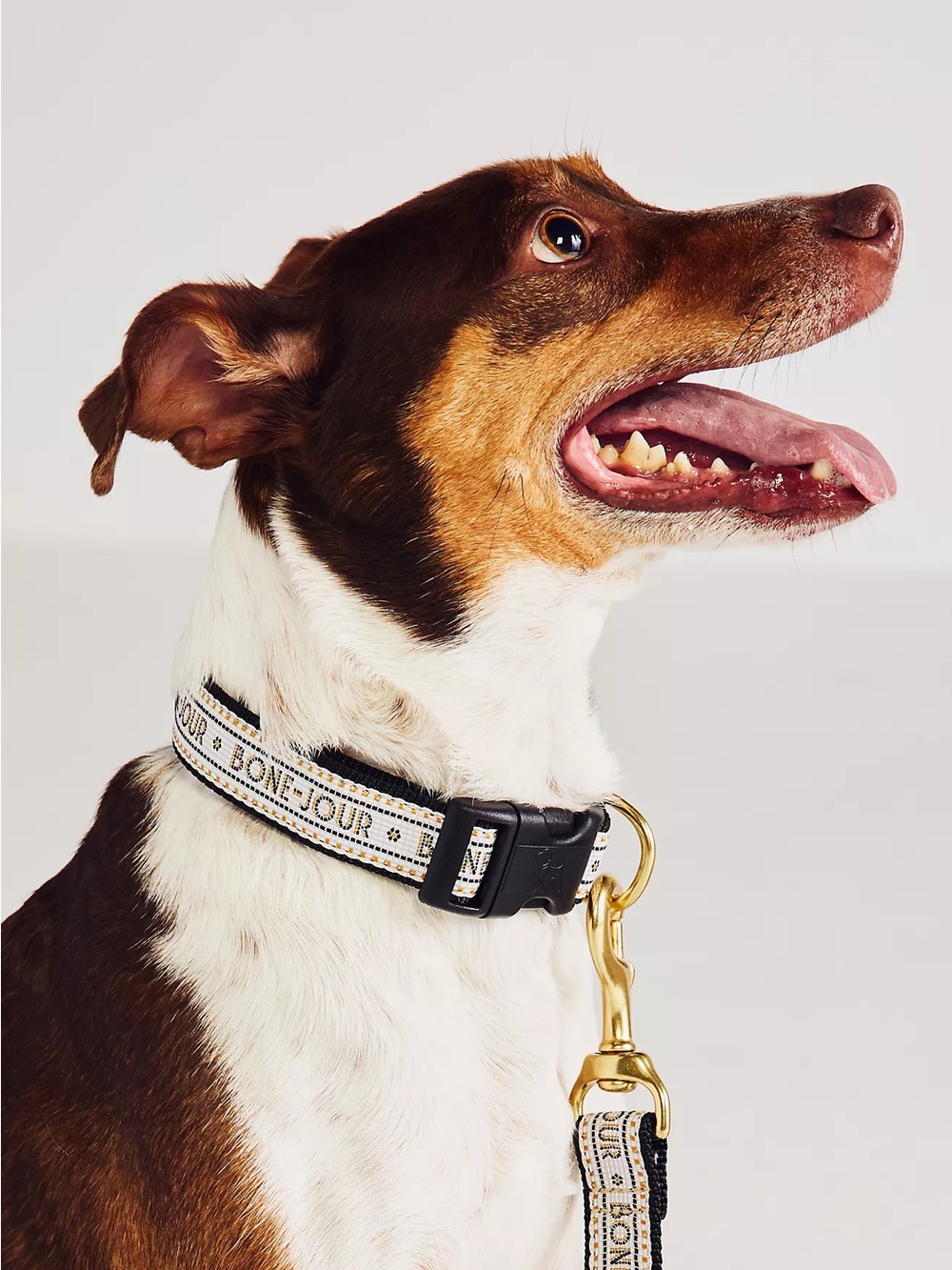 NWT Anthropologie “Bone-Jour” Up Country Bistro Tile Dog Collar Size Small